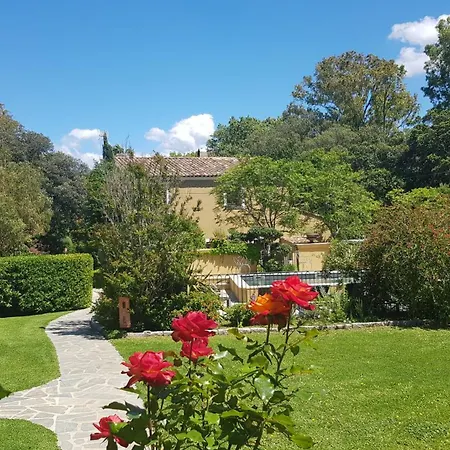 Le - In Calvi (Corsica)